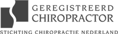 Geregistreerd chiropractor, Stichting Chiropractie Nederland